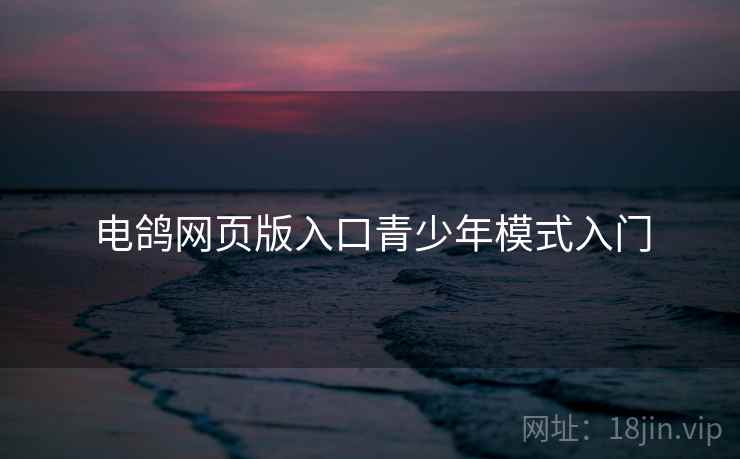 电鸽网页版入口青少年模式入门