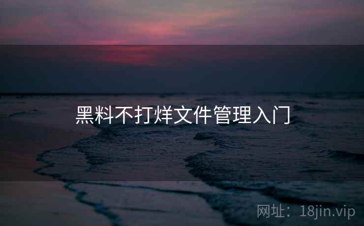 黑料不打烊文件管理入门