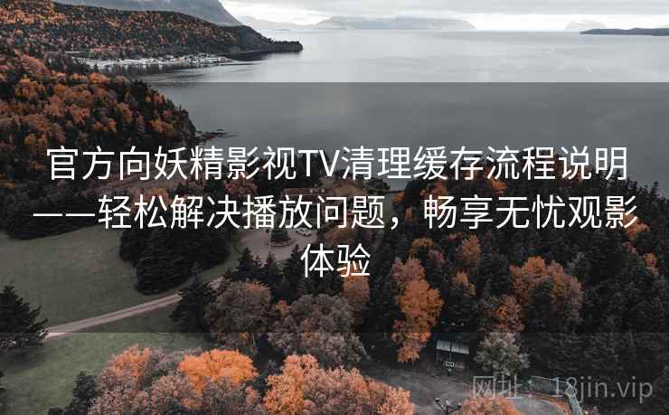 官方向妖精影视TV清理缓存流程说明——轻松解决播放问题，畅享无忧观影体验