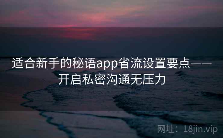 适合新手的秘语app省流设置要点——开启私密沟通无压力