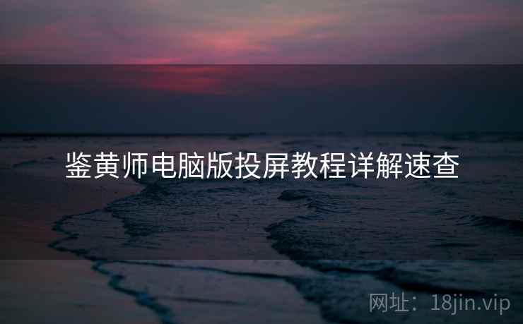 鉴黄师电脑版投屏教程详解速查