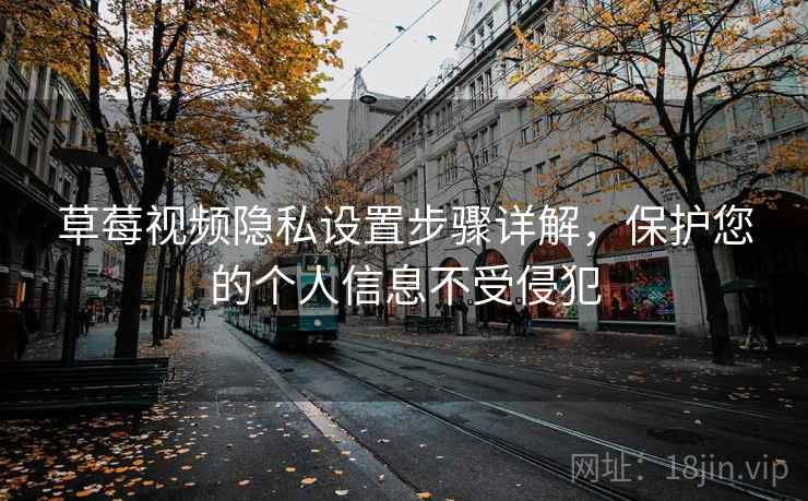 草莓视频隐私设置步骤详解，保护您的个人信息不受侵犯